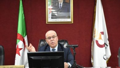 صورة وزير الفلاحة : الظروف المناخية ملائمة لتحقيق موسم حصاد استثنائي