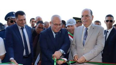 صورة شرفة يشرف على إطلاق الحملة الوطنية لجني دوار الشمس