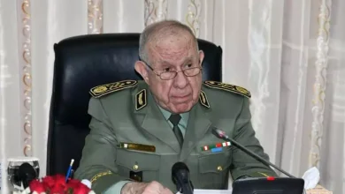 صورة الفريق أول السعيد شنقريحة في زيارة رسمية إلى جمهورية الهند