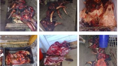 صورة ضبط أزيد من 12 قنطارا من اللحوم الفاسدة بالحراش