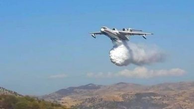 صورة الطارف: الطائرة الروسية تواصل طلعاتها لإخماد المواقد المتبقية من الحرائق بالولاية