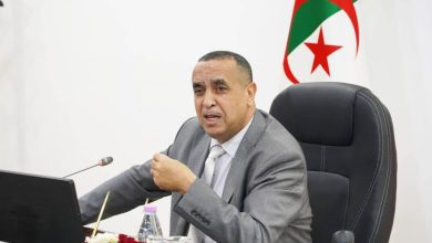 صورة ربط أكثر من 100 ألف مستثمرة فلاحية بالكهرباء منذ 2020… وجهود متواصلة لتعزيز الأمن الطاقوي