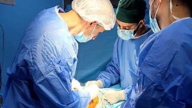 صورة النعامة..إجراء أول عملية الجراحية لوضع أجزاء اصطناعية بالركبة