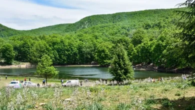 صورة مشروع لتصنيف غابة أكفادو كمحمية طبيعية لحماية تراثها البيولوجي والتاريخي