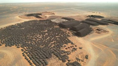 صورة تندوف..ملتقى وطني قريبا حول آفاق منجم غارا جبيلات محليا ووطنيا