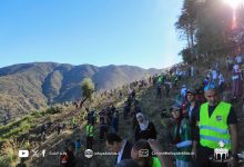 صورة البليدة..غرس أكثر من 30 ألف شجيرة