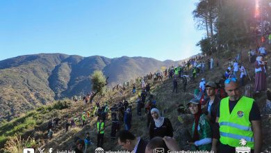 صورة البليدة..غرس أكثر من 30 ألف شجيرة