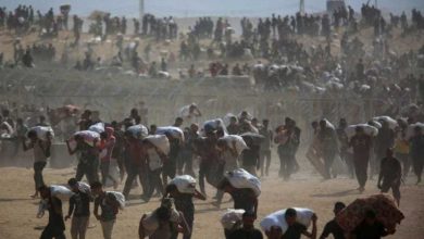 صورة مستوطنون يهاجمون فلسطينيين ويقطعون أشجار زيتون..استشهاد 9 فلسطينيين برصاص الاحتلال بينهم 8 من طالبي المساعدات