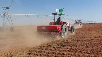 صورة شرفة يؤكد أهمية العمل الجواري لانجاح حملة الحصاد والدرس