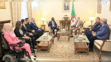 صورة لمواجهة التحديات التي تواجه القارة..قوجيل يؤكد حرص الجزائر على تعزيز الشراكة والتكامل الإفريقيين