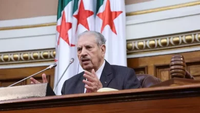 صورة رئيس مجلس الأمة: الجزائر تمتلك كل الإمكانيات لمواجهة التحديات المستقبلية