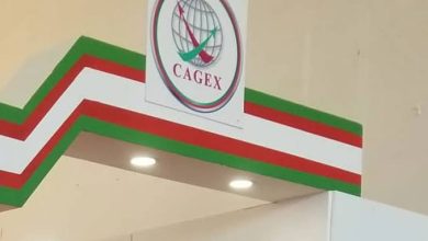صورة الشركة الجزائرية للتأمين وضمان الصادرات : إطلاق خدمة تأمين الاستثمارات الوطنية بالخارج قريبا