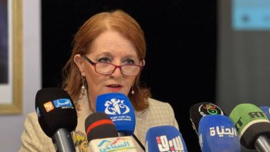 صورة وزيرة السياحة تشرف على لقاء تحضيري لموسم الاصطياف : تعليمات لإعداد دليل شامل للتعريف بالوجهات السياحية الوطنية