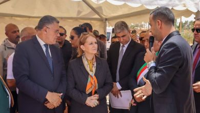 صورة وزيرة السياحة: الدولة تولي أهمية قصوى لتهيئة مواقع التوسع السياحي وتعزيز الاستثمار بالنعامة