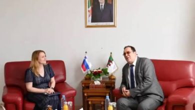 صورة وزير الاتصال يستقبل سفيرة سلوفانيا بالجزائر