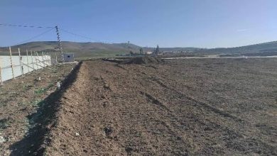 صورة تيسمسيلت..ربط 235 مستثمرة فلاحية بشبكة الكهرباء
