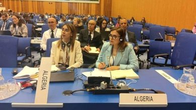 صورة مسراتي تشارك بفيينا في دورتين حول تنفيذ الإتفاقية الأممية لمكافحة الفساد ومنعه