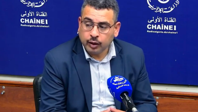 صورة زيارة تبون إلى تركيا تعزز الشراكة الاستراتيجية وترفع سقف التعاون الاقتصادي بين البلدين
