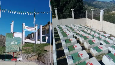 صورة قالمة..مقبرة الشهداء بالبسباسة شاهد على جرائم الاحتلال الفرنسي