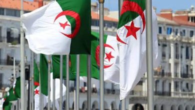 صورة عززت الالتزام بالطابع الاجتماعي للدولة.. مكاسب اجتماعية هامة تجسدت خلال 2024