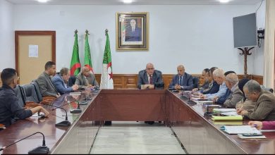 صورة الأمين العام للمحافظة السامية للأمازيغية : ملتقى المخطوط الأمازيغي مناسبة لحماية التراث وتشجيع الإبداع