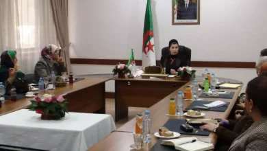صورة تضامن وطني: اجتماع تنسيقي لإطلاق إستراتيجية وطنية لتعزيز حماية المرأة وترقية حقوقها