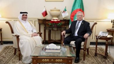 صورة العلاقات الجزائرية-القطرية… نحو شراكة استراتيجية متنامية