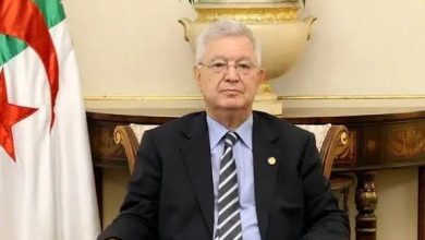 صورة ممثلا لرئيس الجمهورية..ناصري يشارك في قمة إفريقية بلوندا