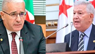 صورة ناصري وبوغالي يهنئان المنتخب الوطني بمناسبة تأهله إلى كأس العالم 2026