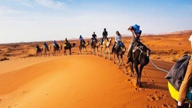 صورة سجلت رقما جد مشجع في 2023..وجهة الجزائر أصبحت أكثر جاذبية للسياح الأجانب