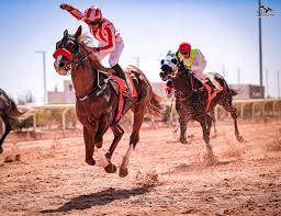 صورة ورقلة..نحو إعادة بعث المضمار الولائي لسباقات الخيل والمهاري