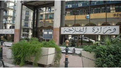 صورة تحضيرات مكثفة لضمان سلامة الأضاحي وتوفيرها للمواطنين في ظروف مثالية قبيل عيد الأضحى