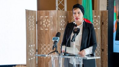 صورة مولوجي تعد باسترجاع الإعانة المالية الممنوحة للأفلام “المعطّلة”