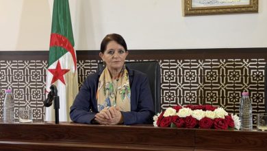 صورة مداحي : مساع لاعتماد استراتيجية شاملة لتعزيز البنية التحتية السياحية بجنوب البلاد