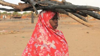 Photo de Soudan: Plus de 20 millions de personnes menacées de crise alimentaire