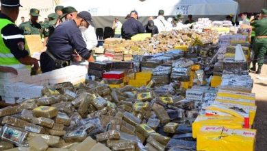 Photo de Ministère de la Défense nationale : Plus de 4 tonnes de kif traité détruites et incinérées