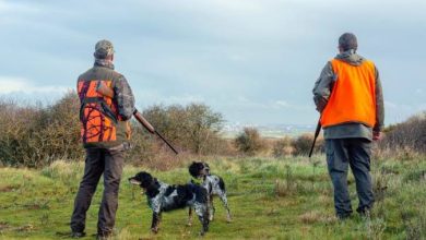 Photo de Oran..Henni préside la cérémonie d’ouverture de la saison de la chasse