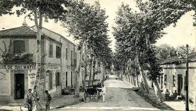 Photo de Blida : Les massacres du 17 septembre 1956 témoignent de la barbarie de la France coloniale