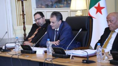 Photo de Abderrahmane Hammad au Conseil de la nation : Les amendements introduits à la loi sur les activités physiques et sportives présentés