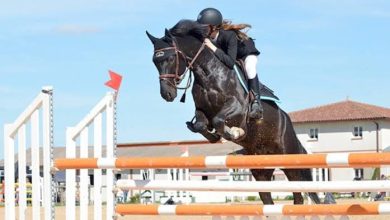 Photo de Sports équestres/Saut d’obstacles : Saad El Ayeb Louail s’adjuge le Grand Prix 2 étoiles à Oran