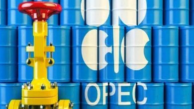 Photo de Selon des sources au fait du dossier : L’OPEP+ va réfléchir à la nécessité de réduire davantage ses réserves de pétrole   
