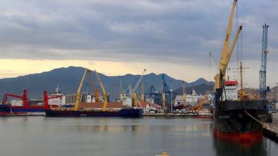 Photo de Béjaïa : Une croissance de 48% au terminal à Bois du port   