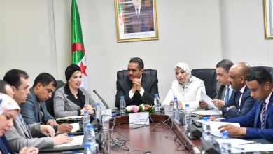 Photo de La ministre de la Culture et des Arts présente le projet de loi sur l’industrie cinématographique