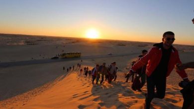 Photo de Biskra : La diversité offerte par le tourisme saharien, un autre facteur d’attractivité   