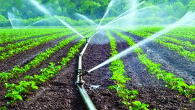 Photo de Batna : La nouvelle canalisation Ain Kercha-Koudiat Medouar renforcera l’AEP et l’irrigation agricole