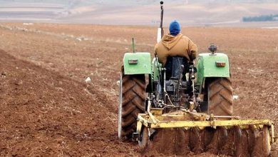 Photo de Céréales : Plus de 2,6 millions d’hectares de terres agricoles labourés