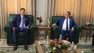 Photo de Le ministre de l’Intérieur s’entretient avec plusieurs de ses homologues arabes