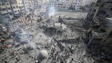 Photo de Un quart des exploitations agricoles détruites dans le nord de la bande de Gaza