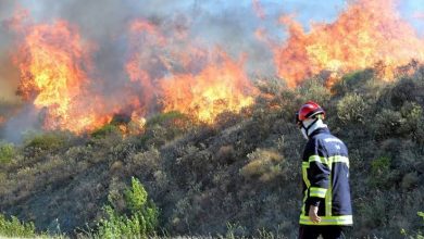 Photo de Tizi-Ouzou : Expérimentation du nouveau projet de détection précoce des feux de forêts