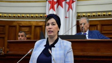 Photo de Mme Mouloudji devant la commission compétente du Conseil de la nation : Présentation du texte de loi relatif à l’industrie cinématographique